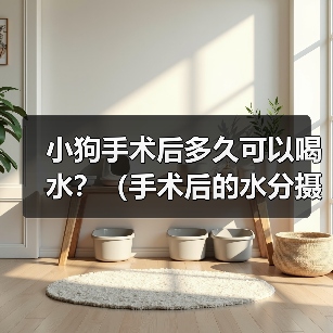 小狗手术后多久可以喝水？（手术后的水分摄取是关键，注意饮水时间和方式）（图2）