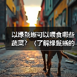 以绿鬣蜥可以喂食哪些蔬菜？（了解绿鬣蜥的蔬菜食谱，保持它们的健康与活力。）（图3）