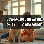 以绿鬣蜥可以喂食哪些蔬菜？（了解绿鬣蜥的蔬菜食谱，保持它们的健康与活力。）（图4）