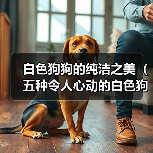 白色狗狗的纯洁之美（五种令人心动的白色狗狗及其独特魅力）（图2）