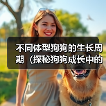 不同体型狗狗的生长周期（探秘狗狗成长中的差异及关键期）（图2）