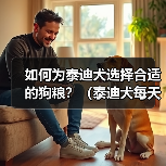 如何为泰迪犬选择合适的狗粮？（泰迪犬每天所需狗粮量以及挑选狗粮的关键因素）（图1）