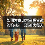 如何为泰迪犬选择合适的狗粮？（泰迪犬每天所需狗粮量以及挑选狗粮的关键因素）（图4）