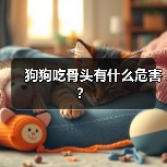 狗狗吃骨头有什么危害？（图2）