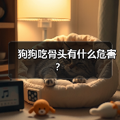 狗狗吃骨头有什么危害？（图4）