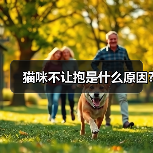 猫咪不让抱是什么原因?（图1）