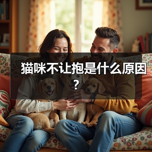 猫咪不让抱是什么原因?（图4）