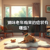 猫咪老年痴呆的症状有哪些？（图1）