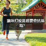 猫咪打疫苗后要查抗体吗？（图4）