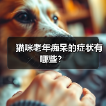 猫咪老年痴呆的症状有哪些？（图3）