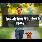 猫咪老年痴呆的症状有哪些？（图4）