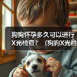 狗狗怀孕多久可以进行X光检查？（狗狗X光检查的安全性及适合时机分析）（图4）