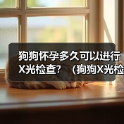 狗狗怀孕多久可以进行X光检查？（狗狗X光检查的安全性及适合时机分析）（图2）