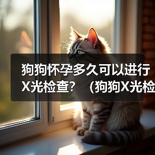 狗狗怀孕多久可以进行X光检查？（狗狗X光检查的安全性及适合时机分析）（图3）