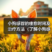 小狗感冒的痊愈时间及治疗方法（了解小狗感冒的治愈时间是关键，帮助你的宠物尽快康复）（图2）