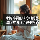 小狗感冒的痊愈时间及治疗方法（了解小狗感冒的治愈时间是关键，帮助你的宠物尽快康复）（图4）