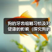 狗的牙齿咀嚼习惯及对健康的影响（探究狗的牙齿咀嚼习惯以及如何保持口腔健康）（图2）