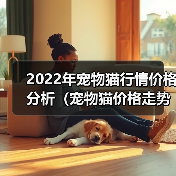 2022年宠物猫行情价格分析（宠物猫价格走势及未来预测，）（图2）