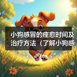 小狗感冒的痊愈时间及治疗方法（了解小狗感冒的治愈时间是关键，帮助你的宠物尽快康复）（图3）