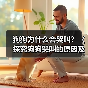 狗狗为什么会哭叫？（探究狗狗哭叫的原因及应对方法）（图1）