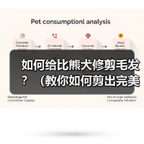 如何给比熊犬修剪毛发？（教你如何剪出完美比熊造型）（图2）