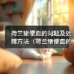荷兰猪便血的问题及处理方法（荷兰猪便血的原因、危险性和应对措施）（图4）