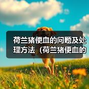 荷兰猪便血的问题及处理方法（荷兰猪便血的原因、危险性和应对措施）（图3）