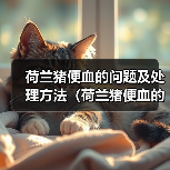 荷兰猪便血的问题及处理方法（荷兰猪便血的原因、危险性和应对措施）（图2）