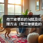 荷兰猪便血的问题及处理方法（荷兰猪便血的原因、危险性和应对措施）（图1）