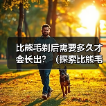 比熊毛剃后需要多久才会长出？（探索比熊毛剃后生长周期的奥秘）（图4）