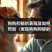 狗狗抑郁的表现及如何帮助（发现狗狗抑郁的重要迹象与关键方法）（图4）