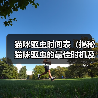 猫咪驱虫时间表（揭秘猫咪驱虫的最佳时机及方法）（图3）