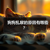 狗狗乱尿的原因有哪些？（图4）