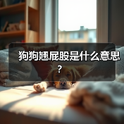 狗狗翘屁股是什么意思？（图4）