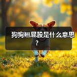 狗狗翘屁股是什么意思？（图3）
