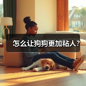 怎么让狗狗更加粘人？（图4）