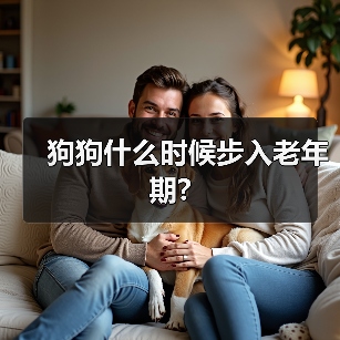 狗狗什么时候步入老年期?（图1）