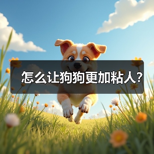 怎么让狗狗更加粘人？（图3）
