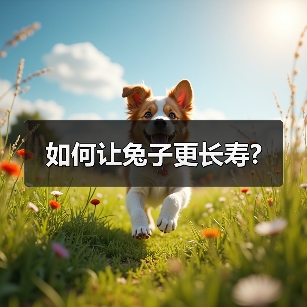 如何让兔子更长寿?（图1）