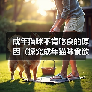 成年猫咪不肯吃食的原因（探究成年猫咪食欲不振的原因及解决方法）