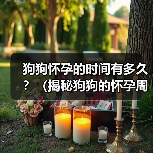 狗狗怀孕的时间有多久？（揭秘狗狗的怀孕周期及相关知识）（图3）