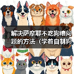 解决萨摩耶不吃狗粮问题的方法（学着自制狗粮，让狗狗营养均衡不挑食）
