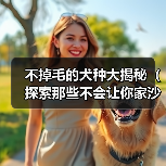 不掉毛的犬种大揭秘（探索那些不会让你家沙发满是狗毛的犬种）（图3）