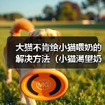 大猫不肯给小猫喂奶的解决方法（小猫渴望奶水，大猫应该如何应对？）（图2）