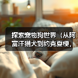 探索宠物狗世界（从阿富汗猎犬到约克夏梗，了解世界各地的宠物狗种类）（图3）