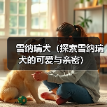 雪纳瑞犬（探索雪纳瑞犬的可爱与亲密）（图3）