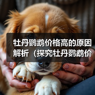 牡丹鹦鹉价格高的原因解析（探究牡丹鹦鹉价格飙升背后的原因及市场需求）（图4）