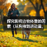 探究影响边牧体重的因素（从狗粮到运动量，了解边牧体重的关键因素）