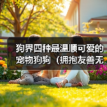 狗界四种最温顺可爱的宠物狗狗（拥抱友善无攻击，快乐共同生活）（图4）