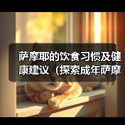 萨摩耶的饮食习惯及健康建议（探索成年萨摩耶每天两次的投喂方式）（图4）